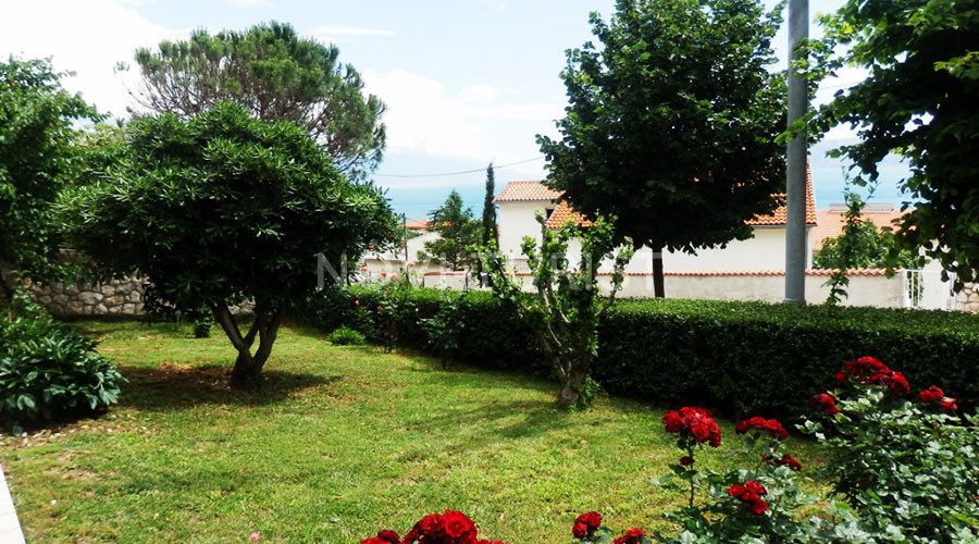 Apartman Jelena
